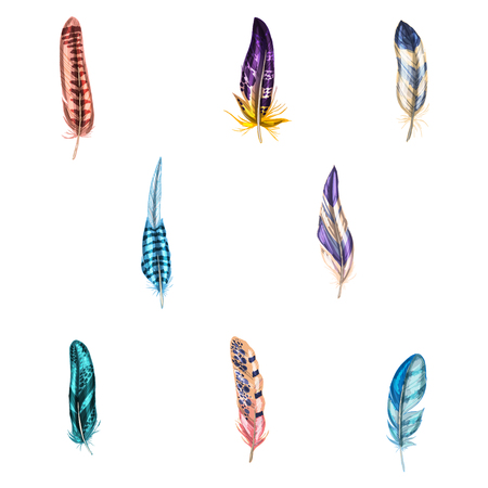 Colorful detailed bird feathers, isolated on white background. Vector Colorful detailed bird feathers, isolated on white background. Vector