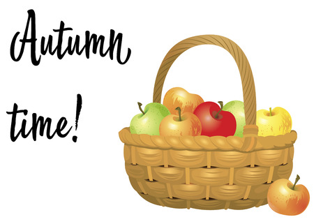 Wicker basket full of apples isolated on white background. Vectorのイラスト素材
