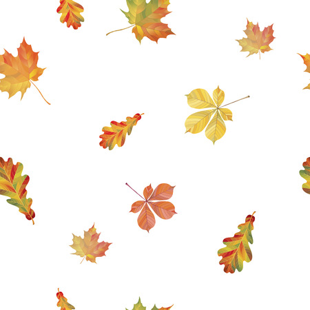 A Seamless pattern with different autumn leaves. Oak, chestnut and maple leaves isolated on white background. Vectorのイラスト素材