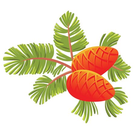 Green spruce branch with two cones. Isolated on white vector illustration.のイラスト素材
