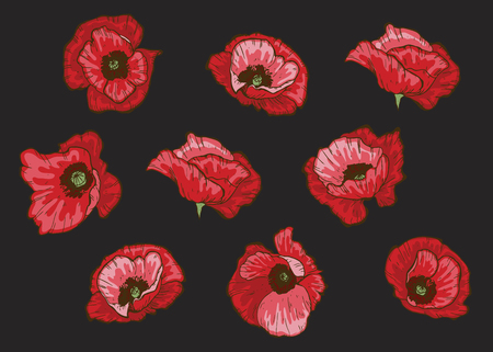 Poppy flowers set. Vector isolated blooming red poppies on black. Floral botanical illustration for design decor or holiday greetings templateのイラスト素材