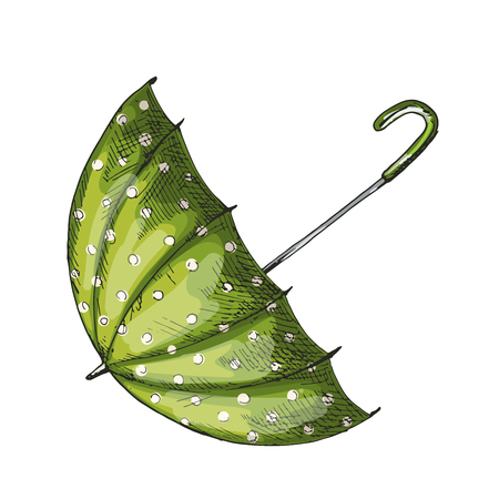 Green umbrella isolated on white background. Vector Illustration. Umbrella with decorative element polka dotのイラスト素材