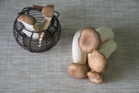 King Oyster Mushroomの写真素材