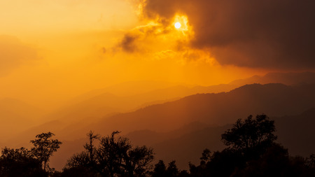 Beautiful panoromic view of misty forest in sunset backgroundの写真素材
