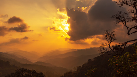 Beautiful Panoromic view of misty forest in sunset background. Stunning landscape in golden hourの写真素材