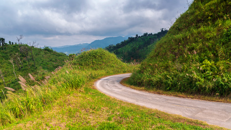 Road lead the way to forest and mountainの写真素材