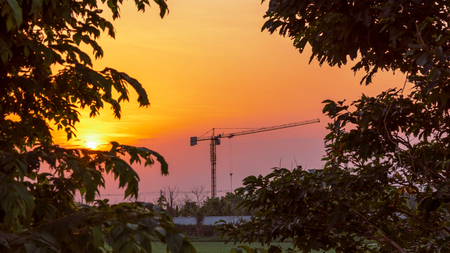 Crane in Leaf frame backgroundの写真素材