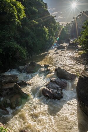 flow in canal in forest and sun light beam