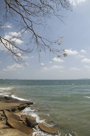Sea and Stone on Summer Seasonの写真素材