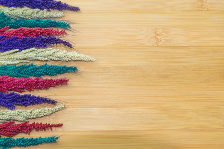 Colorful flower on wood backgroundsの写真素材