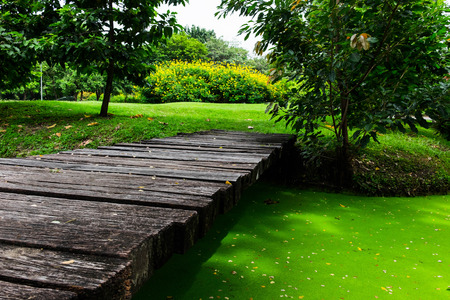 Old bridge in central parkの写真素材