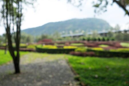 Public garden in daytime blur focus backgroundの写真素材
