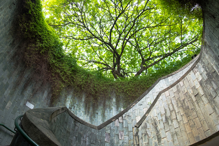 beautiful tourist area underground crossing at Fort Canning Park singapore city. this image for nature conceptのeditorial素材