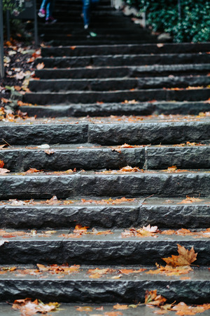 parks background stone stair with maple leaf . image for nature, building, architecture, garden,...
