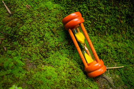 wooden sand clock with sunshine reflect placed on rock which has small green plants are background....