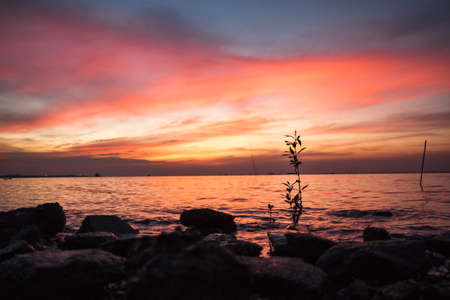 Arrayの写真素材