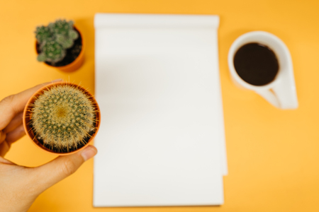 top view business table background closeup hand of business woman hold cactus with blank paper, coffee cup. image for copy space, desktop, drink, workplace, workspace, plant, education conceptの写真素材