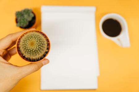 top view business table background closeup hand of business woman hold cactus with blank paper, coffee cup. image for copy space, desktop, drink, workplace, workspace, plant, education conceptの写真素材