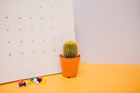 front view. business background plant placed on yellow table with calendar, pin and copy space. image for cactus, isolated, interior, modern, decoration, nature, office, workspace conceptの写真素材