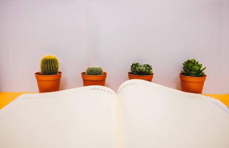 business table background with cactus and blank paper place on table background. image for copy space, desktop, workplace, workspace, education, plant, isolated, notebook, mock up conceptの写真素材