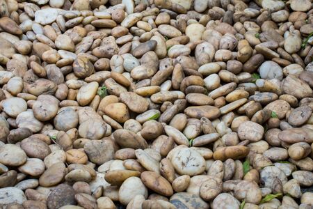 Background a pile of pebbles in garden