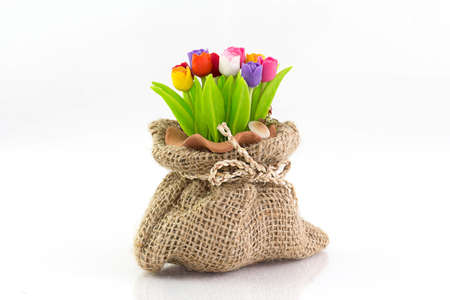 Colorful tulip on flowerpod in sackの写真素材