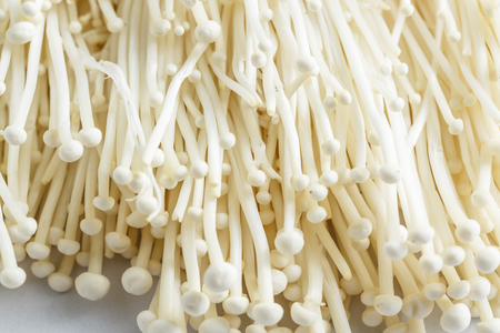 Fresh Enoki mushroom isolate on white background in Close-up shotの写真素材