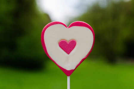heart shaped lollipop outdoor in front of green natural background on the centerの写真素材