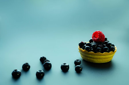 one blueberry and raspberry tart on dark backgroung with berries on the sideの写真素材