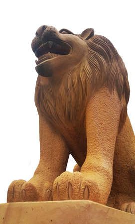 The lionの写真素材