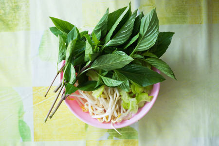 Food for healの写真素材