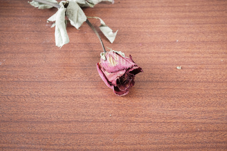 The last valentineの写真素材