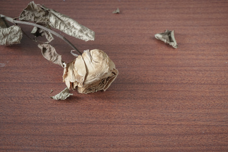 The last valentineの写真素材