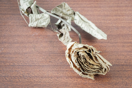 The last valentineの写真素材