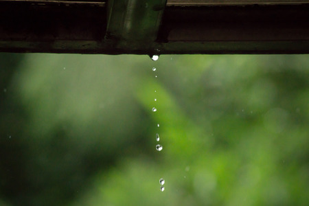 Raining day in park.の写真素材