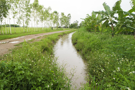 Ditch in the countryside.の写真素材