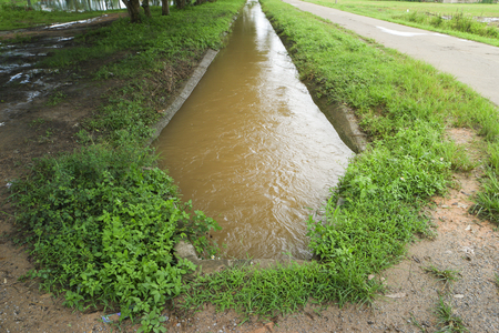 Ditch in the countryside.の写真素材