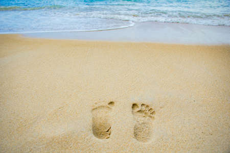 Beach dayの素材