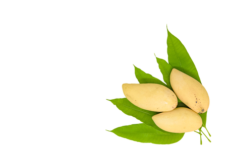 mango and green leave isolate with clipping pathの写真素材