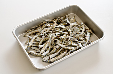 Niboshiの写真素材