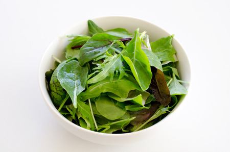 Baby leafの写真素材