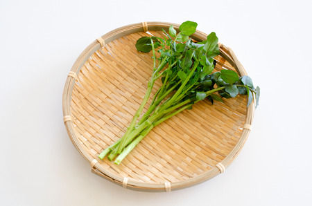 Watercressの写真素材