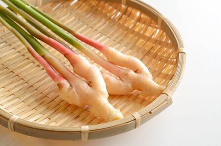 Ginger leavesの写真素材