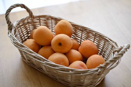 Apricotの写真素材