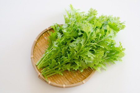 Wasabi vegetablesの写真素材