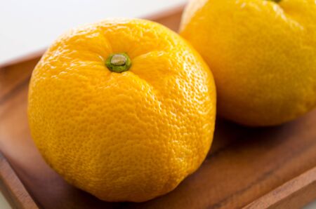 Citronの写真素材