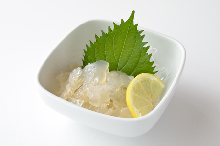 Sashimi jellyfishの写真素材