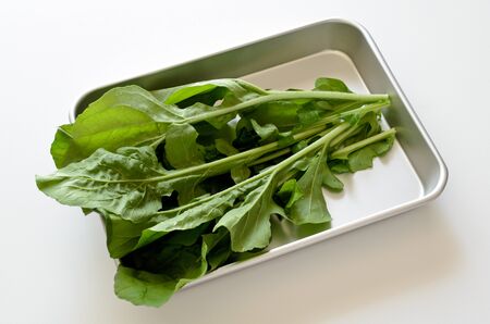 Arugula