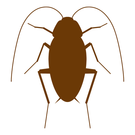 Cockroachのイラスト素材