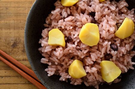 Red chestnutの写真素材